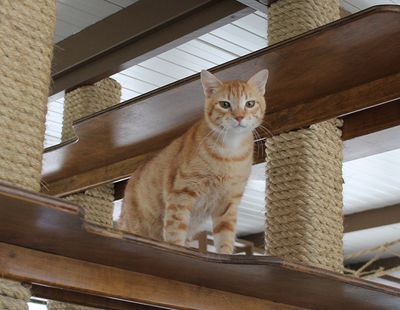 Galeria Casa de Lucho