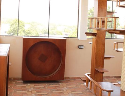 Galeria Casa de Lucho