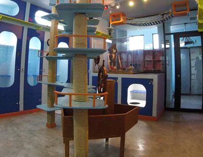 Galeria Casa de Lucho