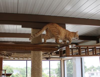 Galeria Casa de Lucho