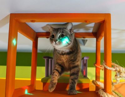 Galeria Casa de Lucho