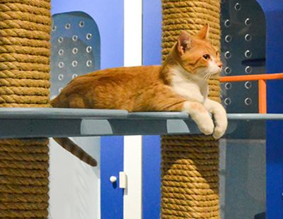 Galeria Casa de Lucho