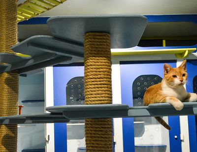 Galeria Casa de Lucho