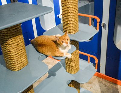 Galeria Casa de Lucho