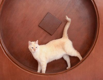 Galeria Casa de Lucho